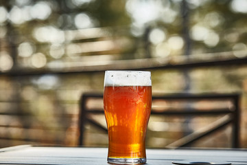 Beer Glass Outdoors