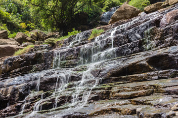 Beautiful water cascades surrounded with lush, green forest.