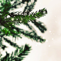 festive christmas tree social media template background