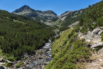 Fototapeta na wymiar Landscape with Valyavitsa river and Valyavishki chukar peak, Pirin Mountain, Bulgaria
