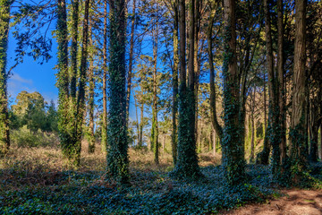 Vista da Serra de Sintra em Portugal