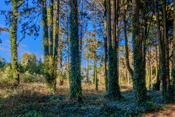 Vista da Serra de Sintra em Portugal