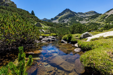 Fototapeta na wymiar Landscape with Valyavitsa river and Valyavishki chukar peak, Pirin Mountain, Bulgaria