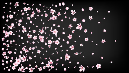 Nice Sakura Blossom Isolated Vector. Tender Flying 3d Petals Wedding Border. Japanese Beauty Spa Flowers Illustration. Valentine, Mother's Day Feminine Nice Sakura Blossom Isolated on Black
