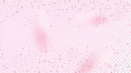 Nice Sakura Blossom Isolated Vector. Realistic Falling 3d Petals Wedding Pattern. Japanese Oriental Flowers Wallpaper. Valentine, Mother's Day Magic Nice Sakura Blossom Isolated on Rose