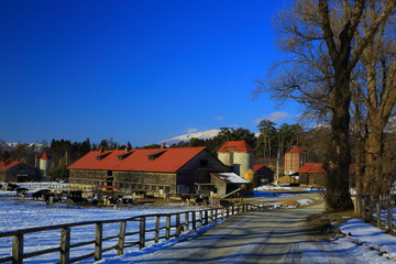 冬の岩手山と牧場