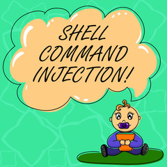 Word writing text Shell Comanalysisd Injection. Business concept for used by hackers to execute system comanalysisds on server Baby Sitting with Pacifier Book and Blank Color Cloud Speech Bubble