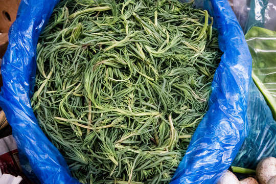 Romeritos for Sale at Food Market in Mexico City (Close-up)