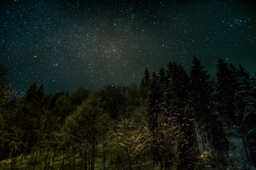 Fototapeta na wymiar Scenic view of beautiful night sky with many shining stars over the green pine tree forest