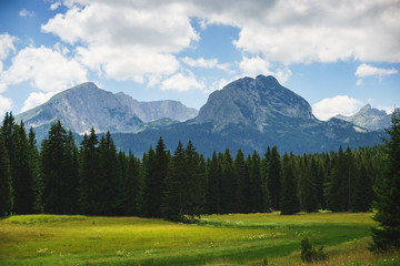Fototapeta na wymiar Magical landscape, journey in mountains of the National Nature Park Durmitor in Montenegro. 
