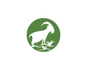 Goat Logo Template