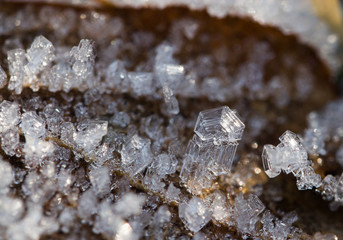 Ice crystals winter frozen