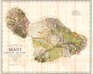 1885, De Witt Alexander Wall Map of Maui, Hawaii