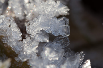 Ice crystals winter frozen
