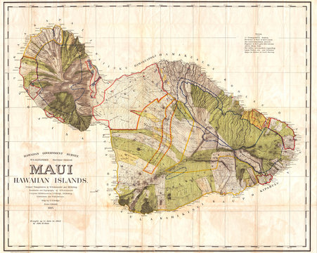 1885, De Witt Alexander Wall Map Of Maui, Hawaii