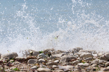 Wave splash closeup  