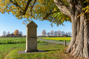 Fototapeta premium Bildstock an der Dicken Linde