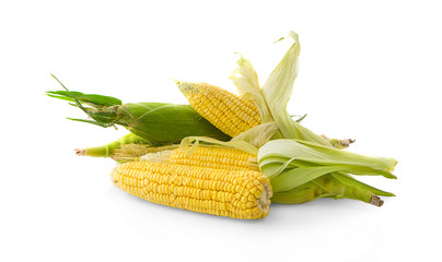  corn isolated on white background
