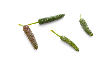 Fresh Long Pepper isolated on white background
