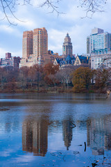 Fototapeta premium Odbicie w Central Parku