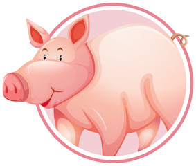 Pig in circle banner