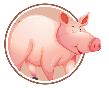Pig in circle banner