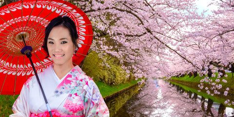 Fototapeta premium Japanese woman in Kimono dress with Full bloom Sakura - Cherry Blossom at Hirosaki park in Hirosaki, Japan