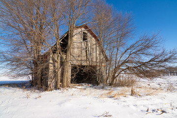 Old weathered barn in the snow covered field in rural Illinois.