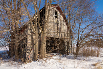 Old weathered barn in the snow covered field in rural Illinois.