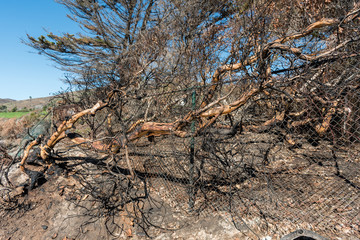 Aftermath of the Woolsey fire at the Nicholas Canyon Beach in Malibu, California