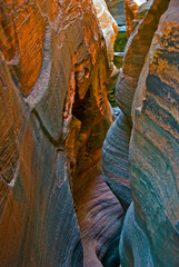 Slot canyon -Zion National Park, Utah