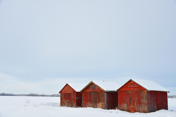 Old Wooden Granaries in Winter