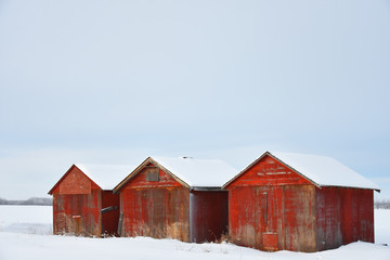 Old Wooden Granaries in Winter