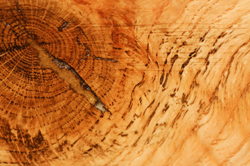 Wood closeup background