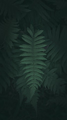Dark green tone tropical plant background.
