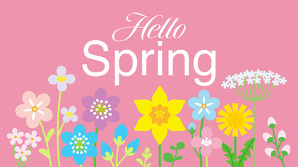 Lined up Colorful Wildflowers, including words 