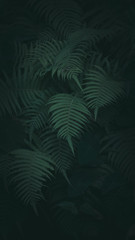 Dark green tone tropical plant background.