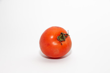 tomatoes on white background