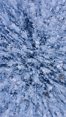 The frozen lake surface, showing a variety of textures. Blue background of Ice texture. 