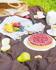 Picnic at the park on the grass: tablecloth, basket, healthy food and accessories. Picnic basket has a lot of food on green grass. Picnic basket prepare for lunch. Lunch Outdoors Park Food Concept.