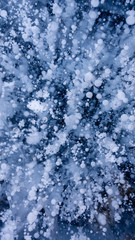 The frozen lake surface, showing a variety of textures. Blue background of Ice texture. 