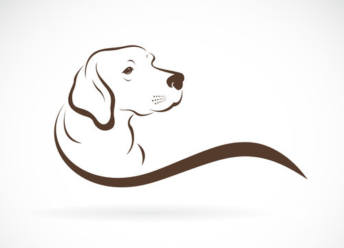 Vector of dog head(labrador) on white background., Pet. Animals.