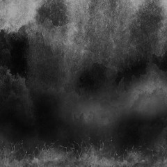 Watercolor black abstract background, card, pattern, black spot, splash of paint, blot, divorce, color. black and white paint color. Grunge texture,background. Silhouette of grass, wild plants.