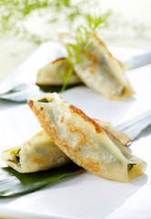 Delicious Chinese cuisine, Fried dumplings