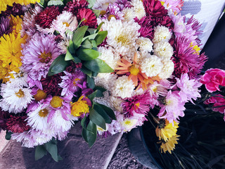 Multicolored flowers on a sunny day outside. Close-up shot