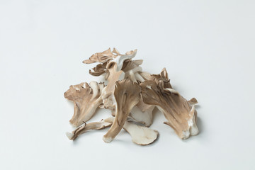白背景にマイタケの集合