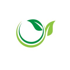 Green Leaf Organic Logo Vector Template