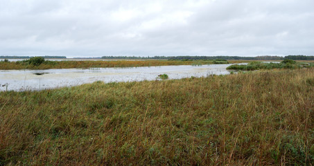 Morning on Lake Big Corner