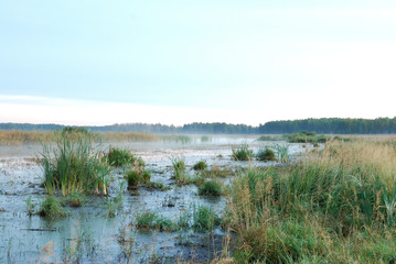 Morning on Lake Big Corner