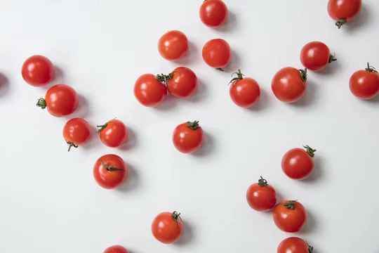 白背景に散らばるミニトマト可愛い Stock Photo Adobe Stock